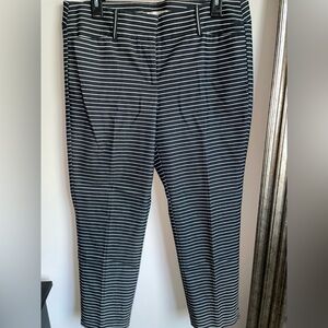 Ann Taylor Loft Pants